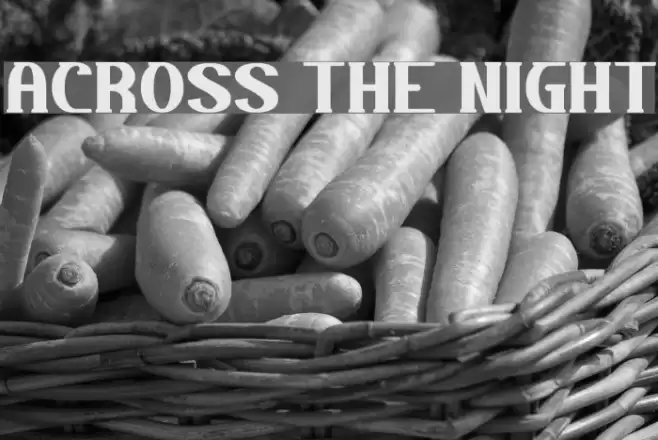 ACROSS THE NIGHT Font examples