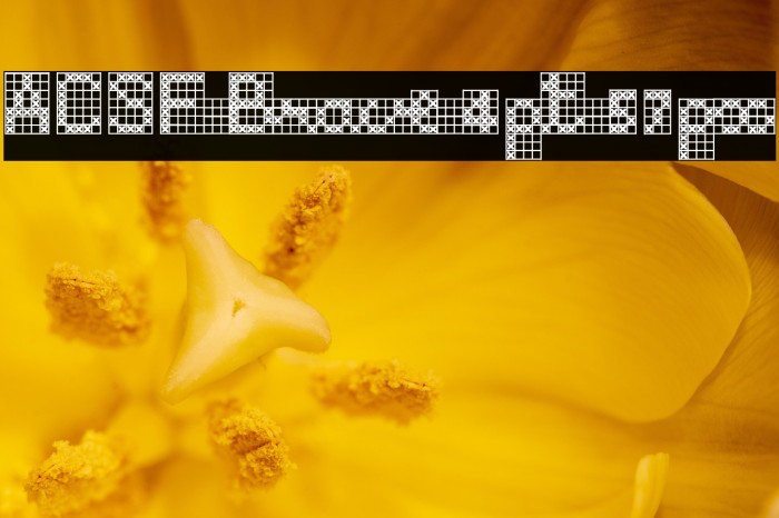 ACSF Brave 4pt 57px Example 1