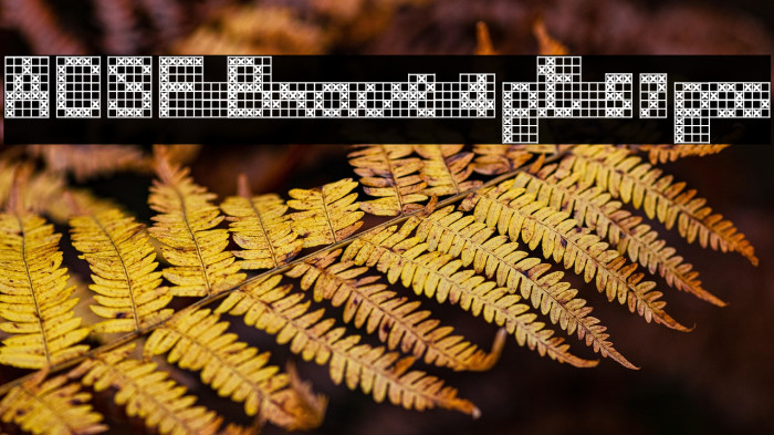 ACSF Brave 4pt 57px Example 2