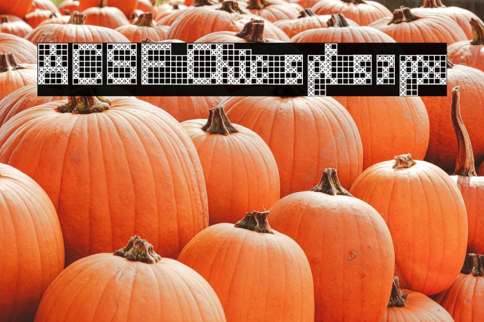 ACSF Chic 5pt 57px Example 3