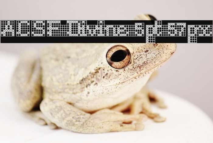 ACSF Divine 5pt 57px Example 3