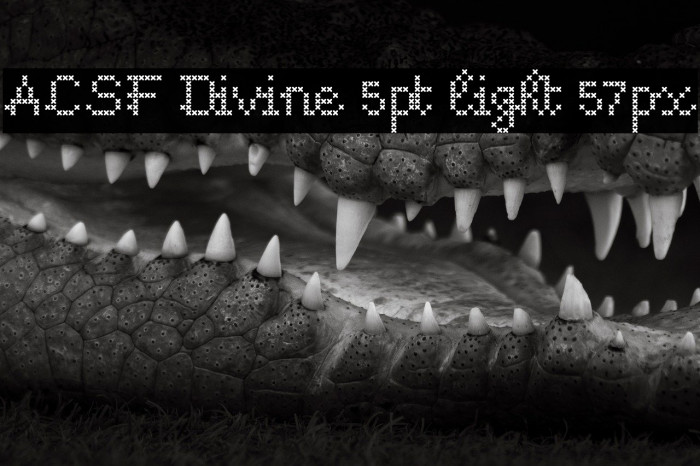 ACSF Divine 5pt light 57px Example 1