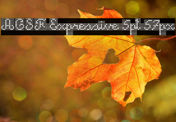 ACSF Expressive 5pt 57px Example 2