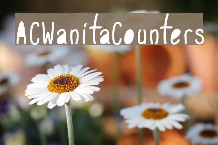 ACWanitaCounters Example 2