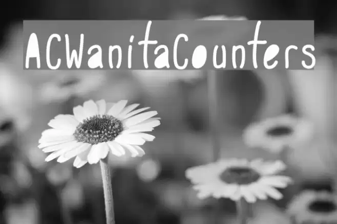 ACWanitaCounters Font examples