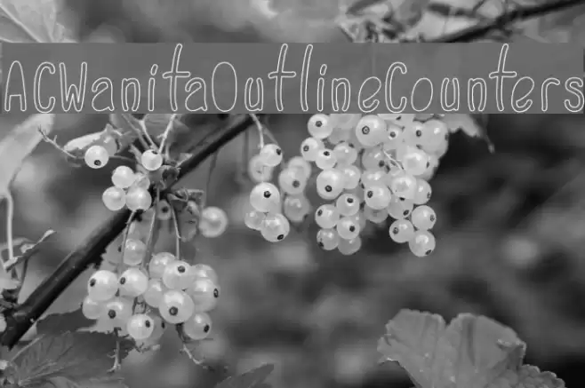 ACWanitaOutlineCounters Font examples