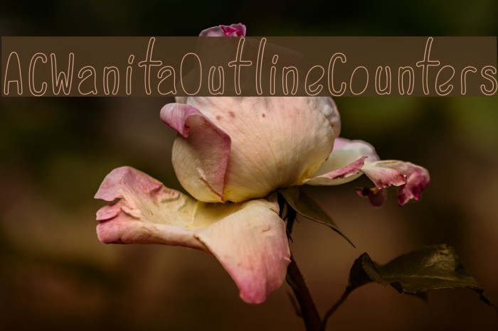 ACWanitaOutlineCounters Example 3