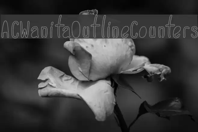 ACWanitaOutlineCounters Font examples