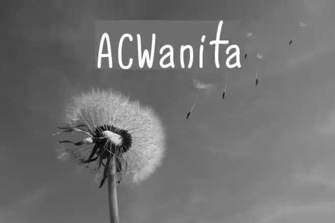 ACWanita Font examples