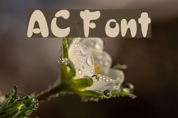 AC Font examples
