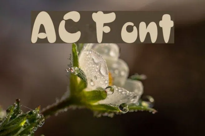 AC Example 1