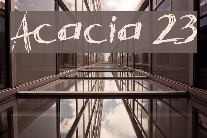 Acacia 23 Font examples