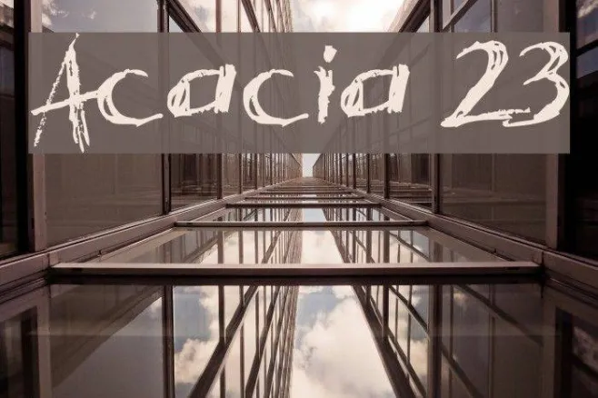 Acacia 23 Example 2