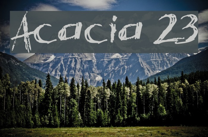 Acacia 23 Font examples