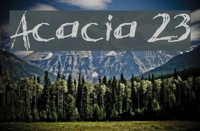 Acacia 23 Example 3