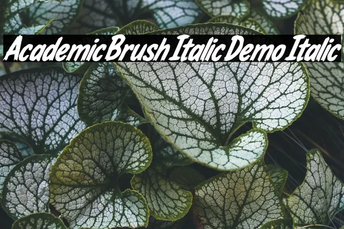 Academic Brush Italic Demo Italic Example 3