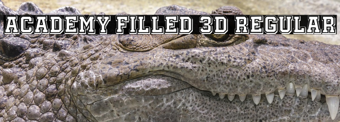 Academy Filled 3D Regular Example 1