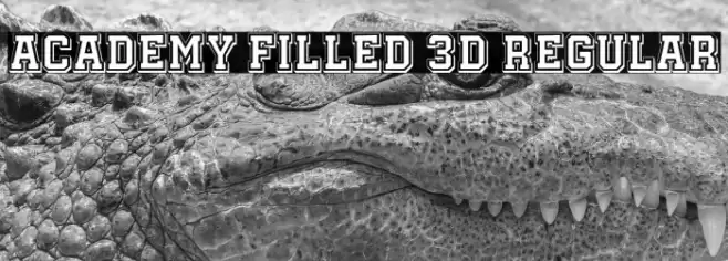 Academy Filled 3D Regular Font examples