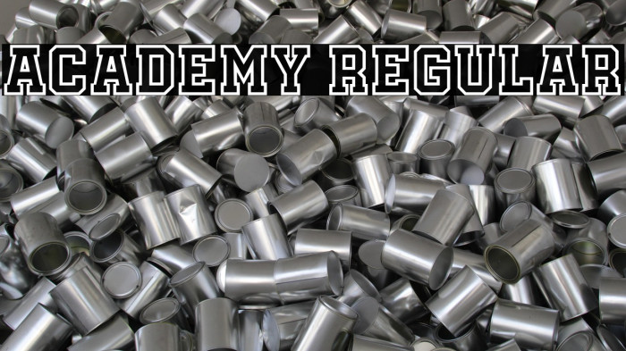 Academy Regular Example 1