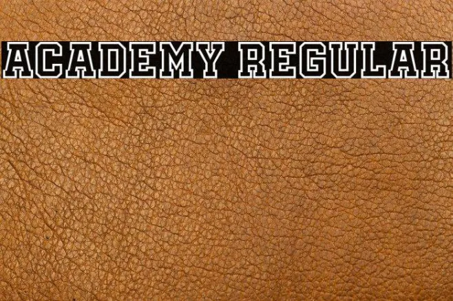 Academy Regular Example 2