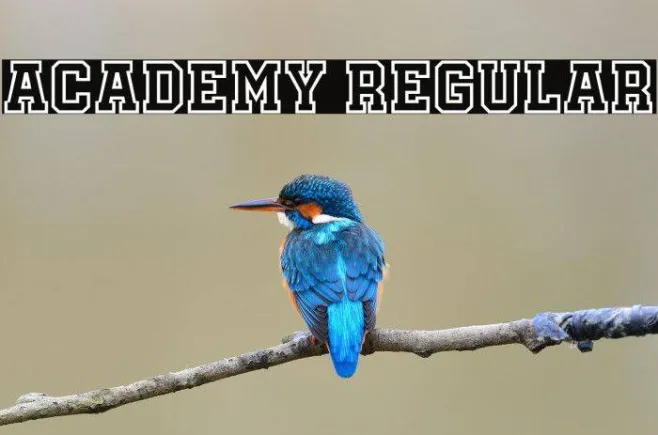 Academy Regular Example 3