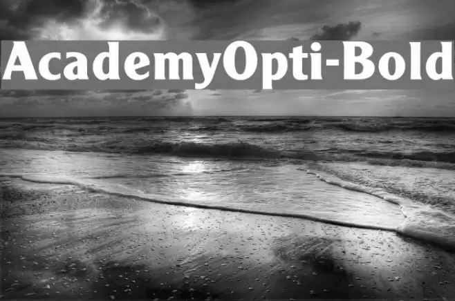 AcademyOpti-Bold Polices examples