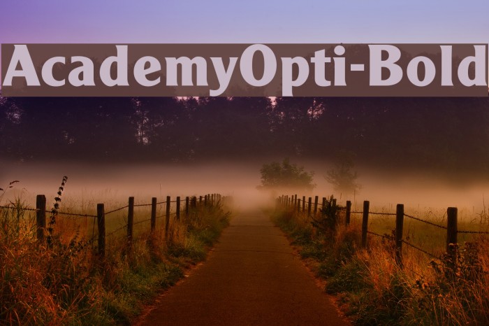AcademyOpti-Bold Font examples