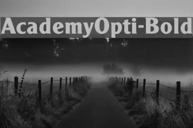 AcademyOpti-Bold Polices examples