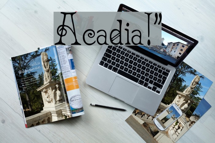 Acadian!` Font examples