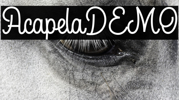 AcapelaDEMO Example 2