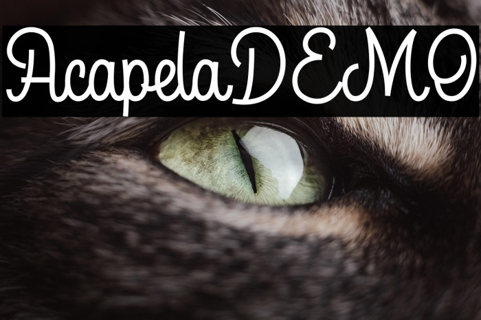 AcapelaDEMO Example 3