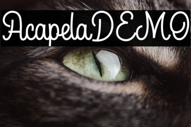 AcapelaDEMO Example 3