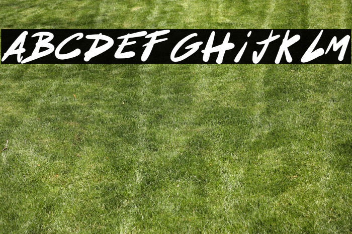 Acapulco Night Fever Example 1