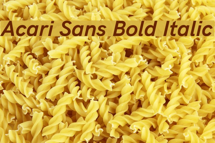Acari Sans Bold Italic Font examples