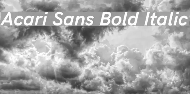 Acari Sans Bold Italic Font examples