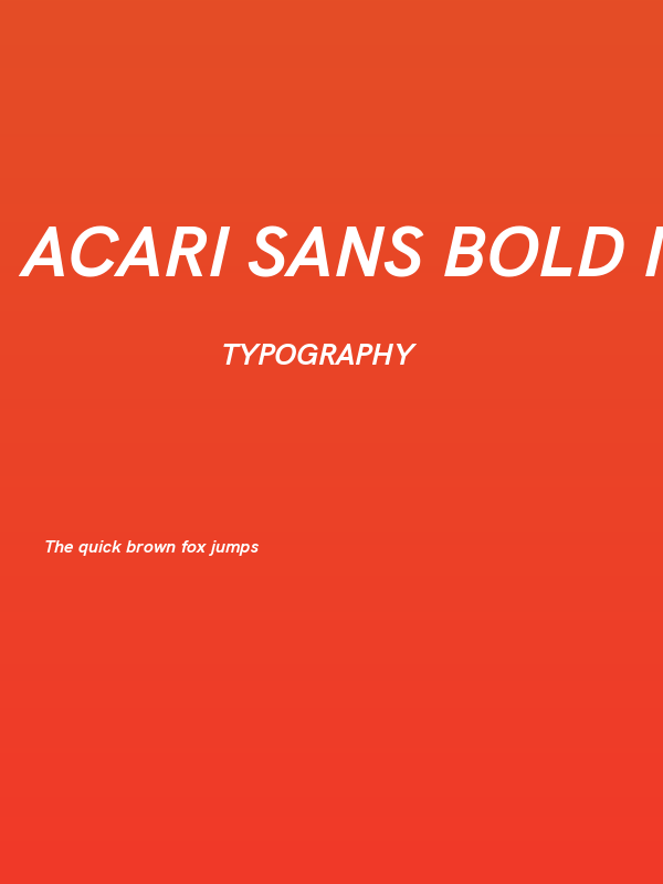 Acari Sans Bold Italic Poster