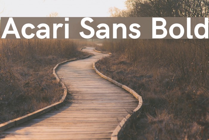 Acari Sans Bold Font examples