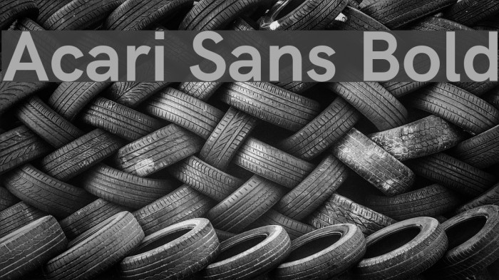 Acari Sans Bold Font examples