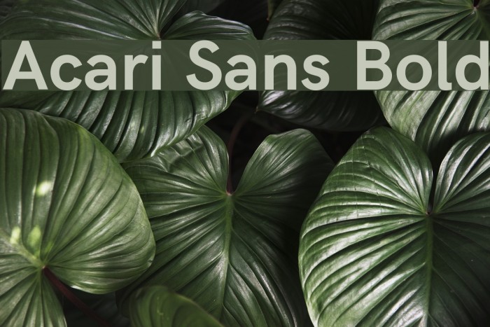 Acari Sans Bold Font examples
