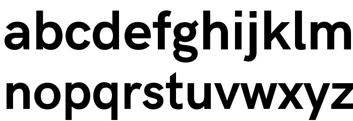 Acari Sans Bold Font LOWERCASE