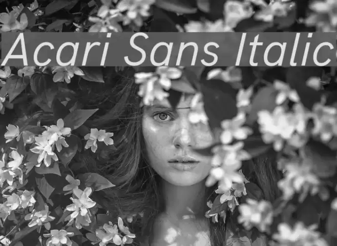 Acari Sans Italic Font examples