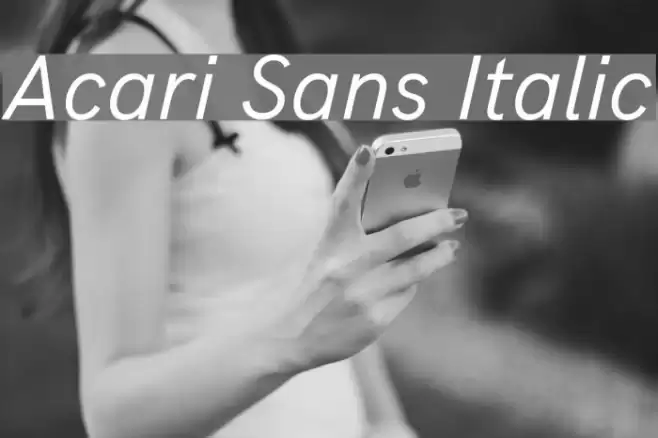 Acari Sans Italic Font examples