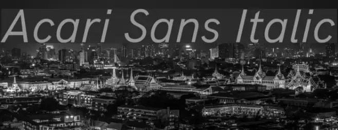 Acari Sans Italic Font examples