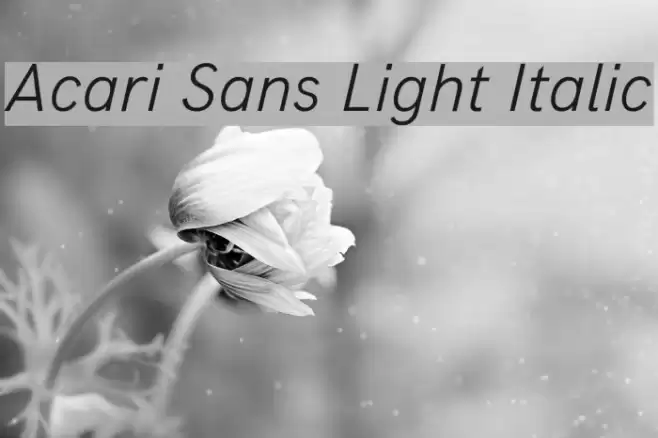 Acari Sans Light Italic Font examples