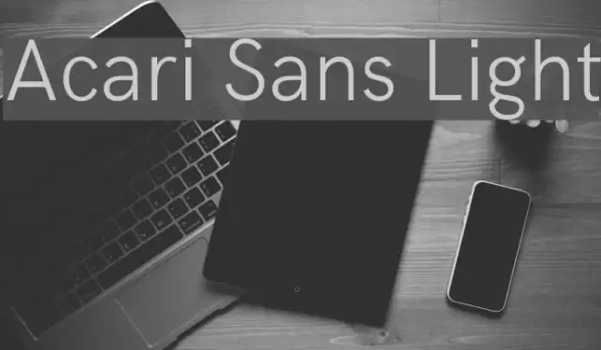 Acari Sans Light Font examples
