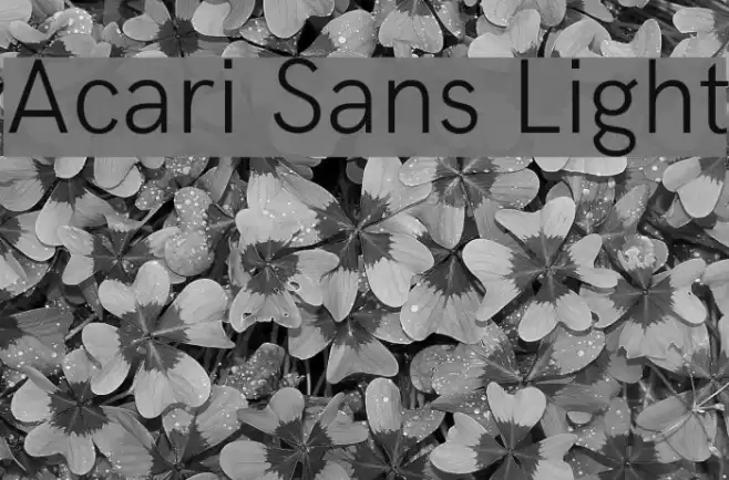 Acari Sans Light Font examples