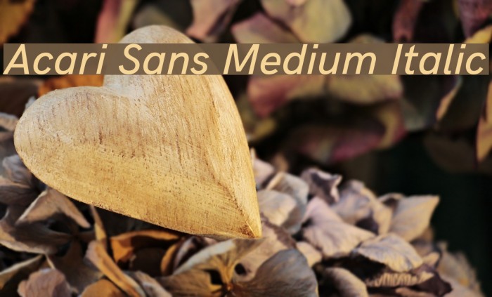 Acari Sans Medium Italic Font examples