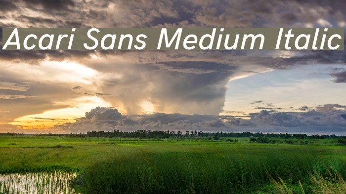 Acari Sans Medium Italic Font examples