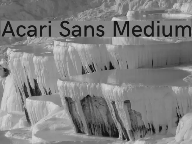 Acari Sans Medium Font examples