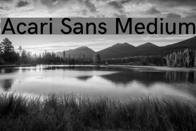 Acari Sans Medium Font examples